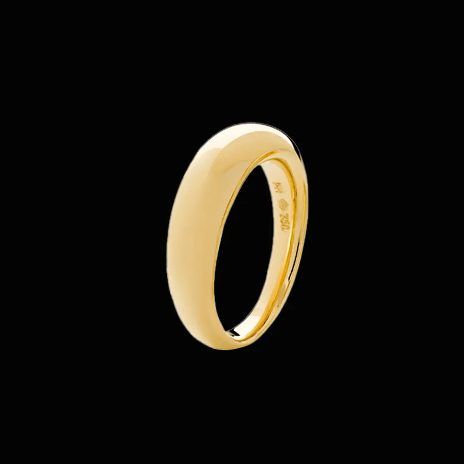 bow_ring_lille_0.webp Bow ring, lille*P. Hertz Online