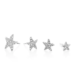 Oceania ørestikker*P. Hertz Online