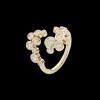 Olympia ring*P. Hertz Best